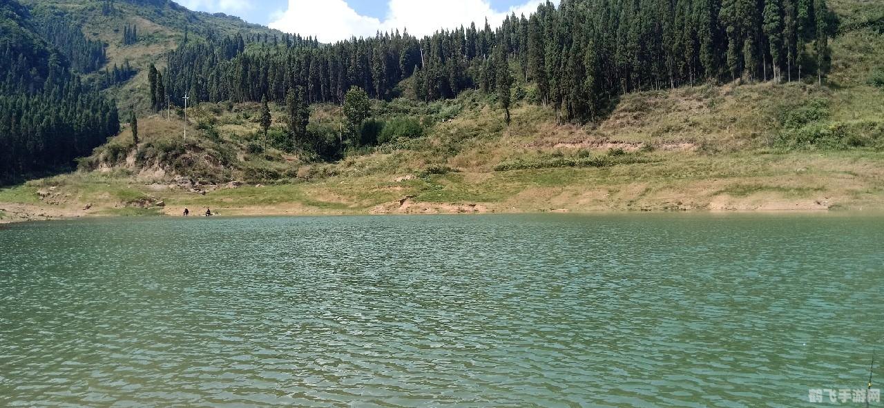 海贼王太平洋,海贼王太平洋手游攻略，成为海洋霸主的非电子冒险