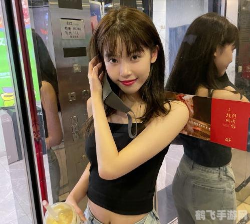 半藏森林是什么梗,揭秘半藏森林，手游中的隐藏宝藏与攻略