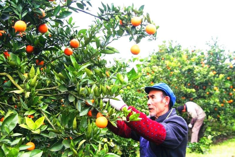 36游戏中心热门游戏攻略与资讯，一网打尽！