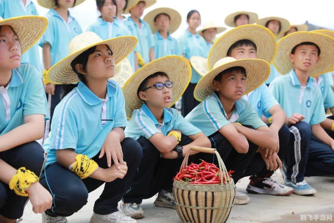初中生查分数平台,初中生查分数平台与手游攻略,双重乐趣,学习与娱乐并存