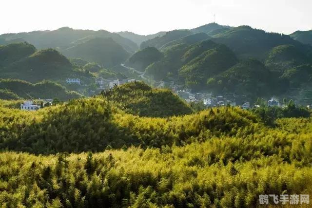 花花世界大作战游戏攻略,探索武侠与自然的奇妙融合