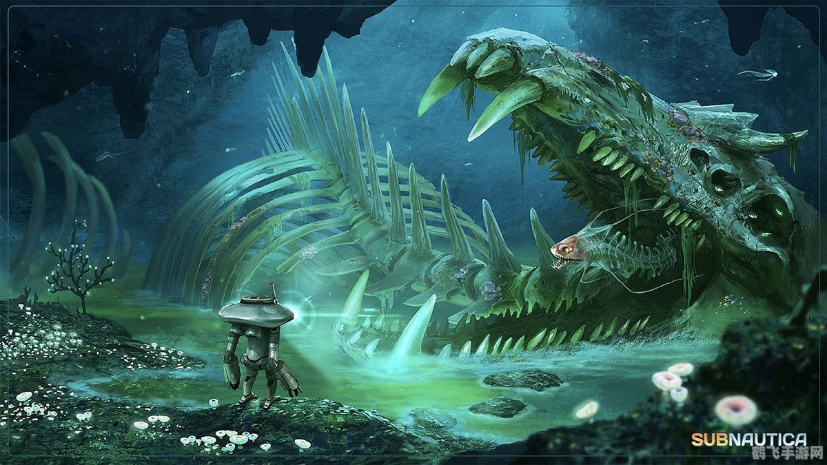 海星呼吸探秘,游戏中的海洋生物生存之道