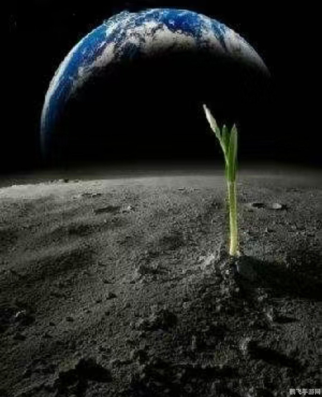 自然状态下月球上能不能种菜,自然状态下月球上能否实现种菜梦想?