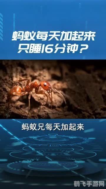 有的人睡觉时会半睁着眼蚂蚁庄园,揭秘半睁眼睡眠现象,蚂蚁庄园里的神秘角色