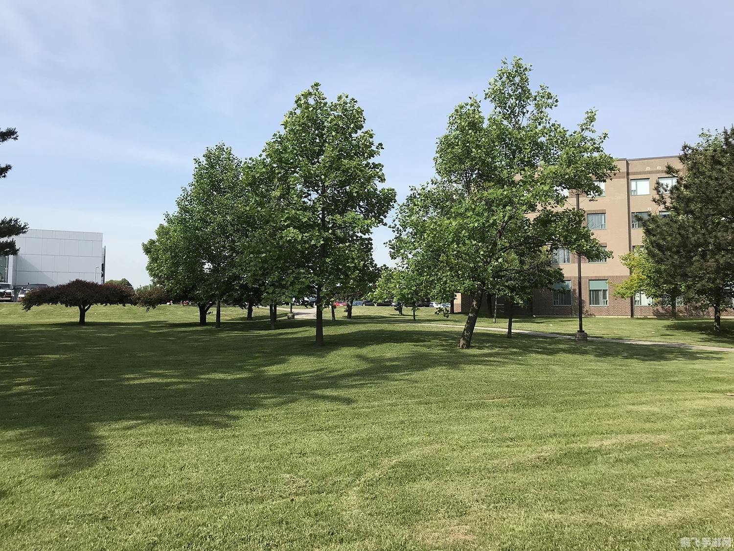 超级课程表电脑版,超级课程表电脑版,高效管理你的学习日程