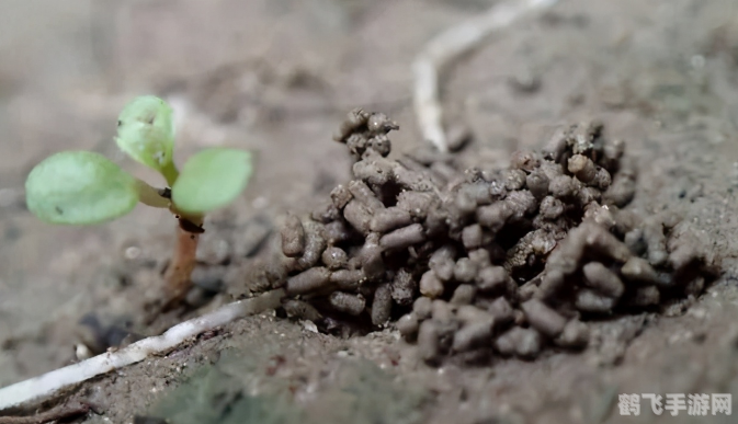 文通慧视小灵鼠，智能手写识别，开启手游新体验