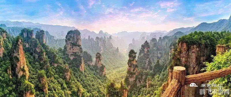 老奶奶BGMBGM,人与自然和谐之旅手游攻略