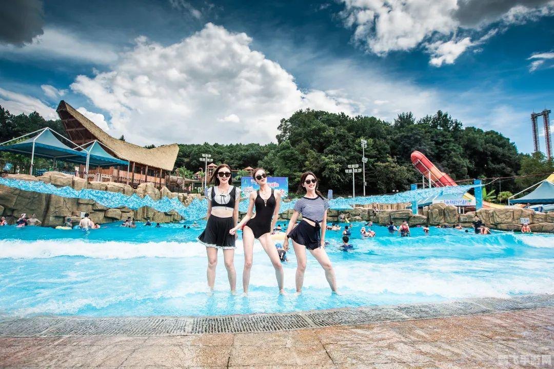 手游王者荣耀人气飙升秘籍,从新手到高手的全方位指南