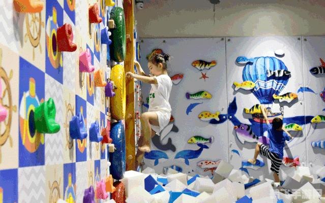 揭秘海洋生物,鲸鱼与海马,谁才是真正的鱼?