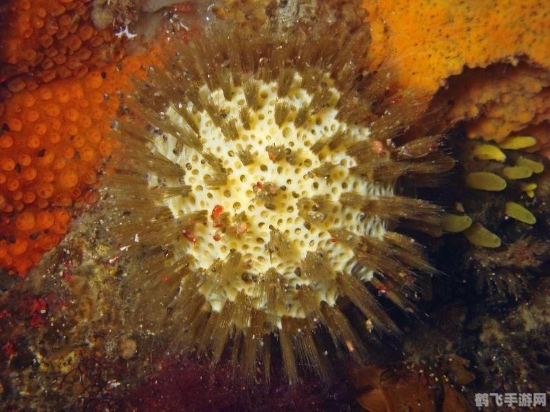 mc三大最古老的生物,我的世界三大最古老生物探秘及攻略