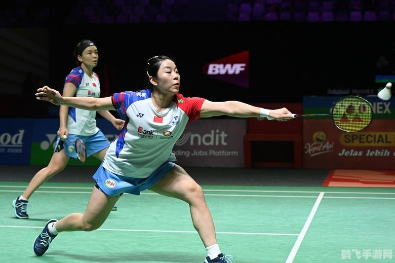 天天羽毛球网,天天羽毛球网手游攻略，成为羽毛球场上的佼佼者