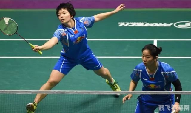 天天羽毛球网,天天羽毛球网手游攻略，成为羽毛球场上的佼佼者