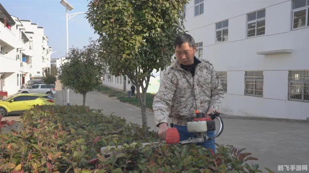 梦幻西游无法进入游戏请与管理员联系,梦幻西游