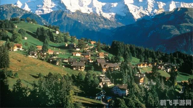 第一次世界大战小游戏,第一次世界大战小游戏战略指南,重回战火纷飞的欧洲战场