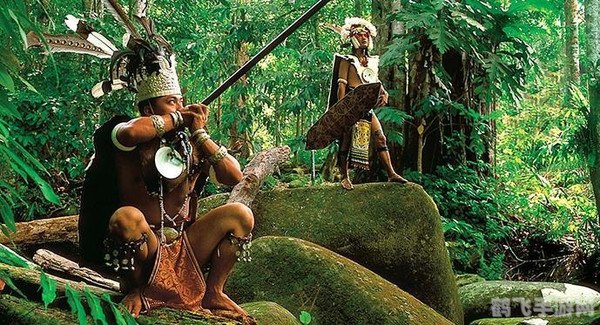 亚马逊女王,亚马逊女王,勇闯丛林,体验女王的冒险之旅