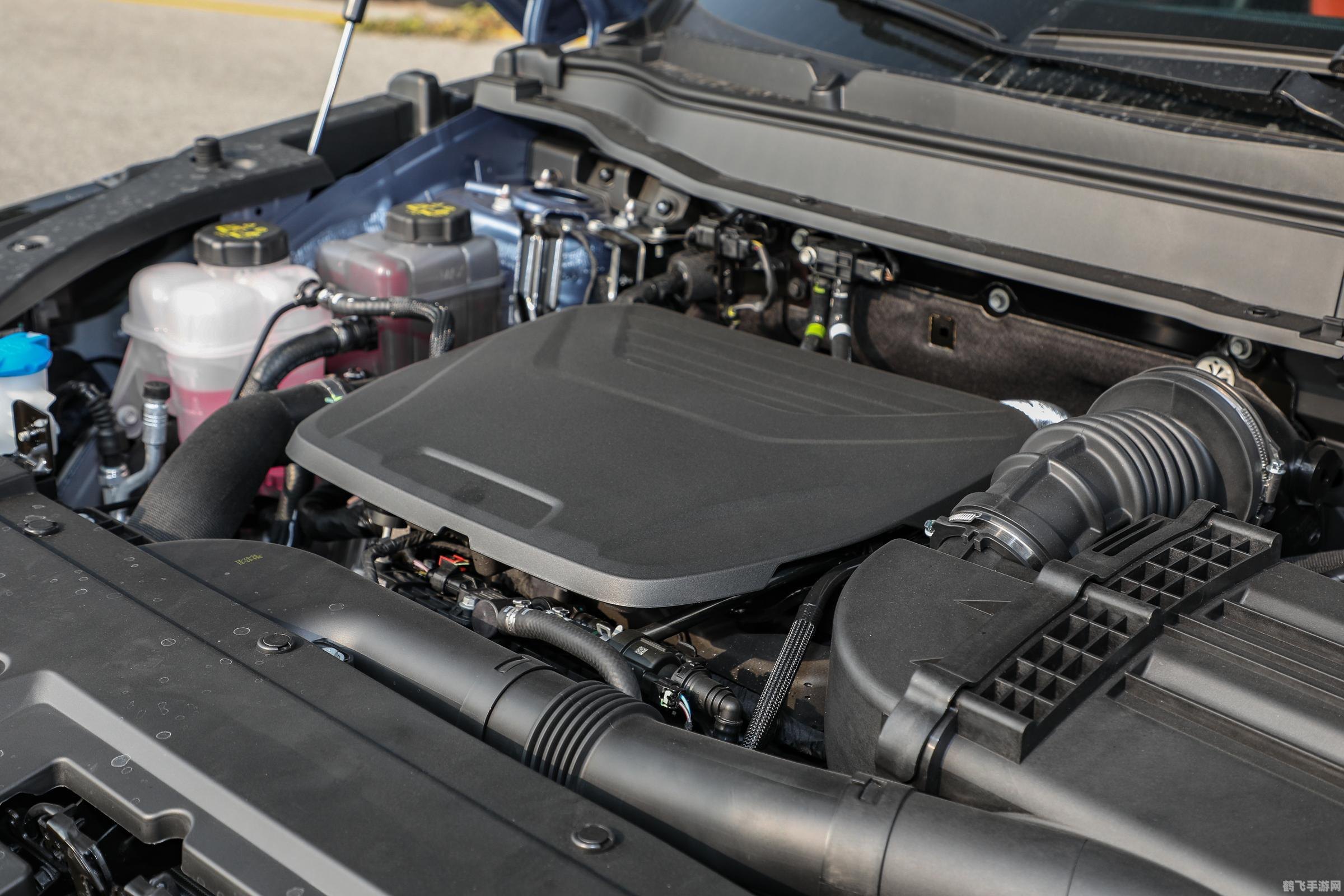 神兽选择与搭配