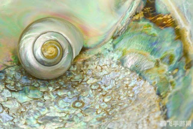 彩虹qq显ip版,彩虹QQ显IP版,解锁隐身好友与地理位置的利器