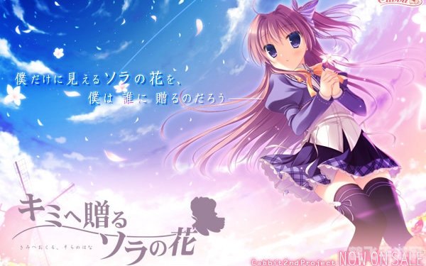 赠与你的空之花,赠与你的空之花，青春与幽灵的羁绊之旅