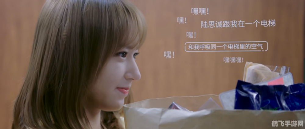 你微笑时很美里面的游戏是什么,你微笑时很美