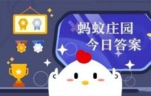 今天小鸡庄园的答案,小鸡庄园手游攻略，掌握这些技巧，成为养鸡达人！