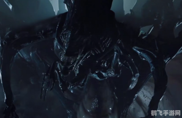 异形vs人类,异形VS人类,星际争霸战攻略大全