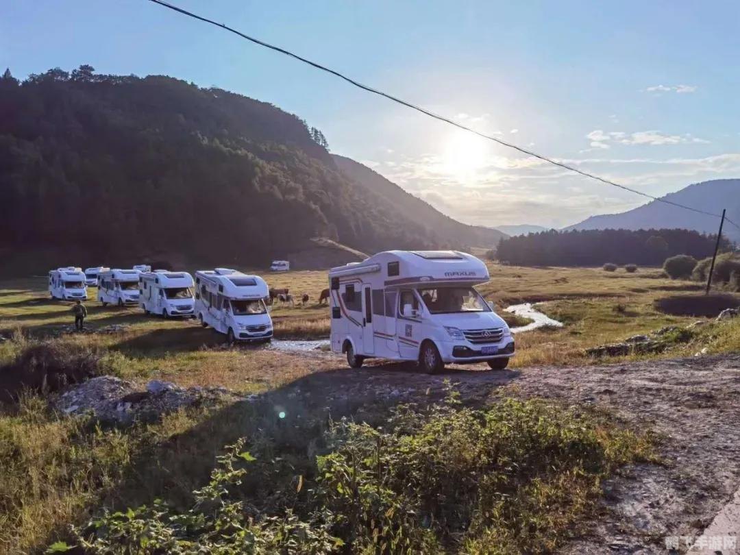 抖音d2天堂手游攻略,成为天堂之主的秘诀大揭秘!