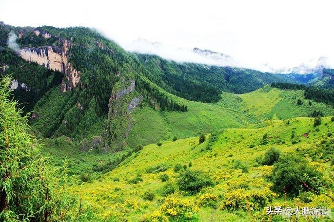 抖音d2天堂手游攻略,成为天堂之主的秘诀大揭秘!