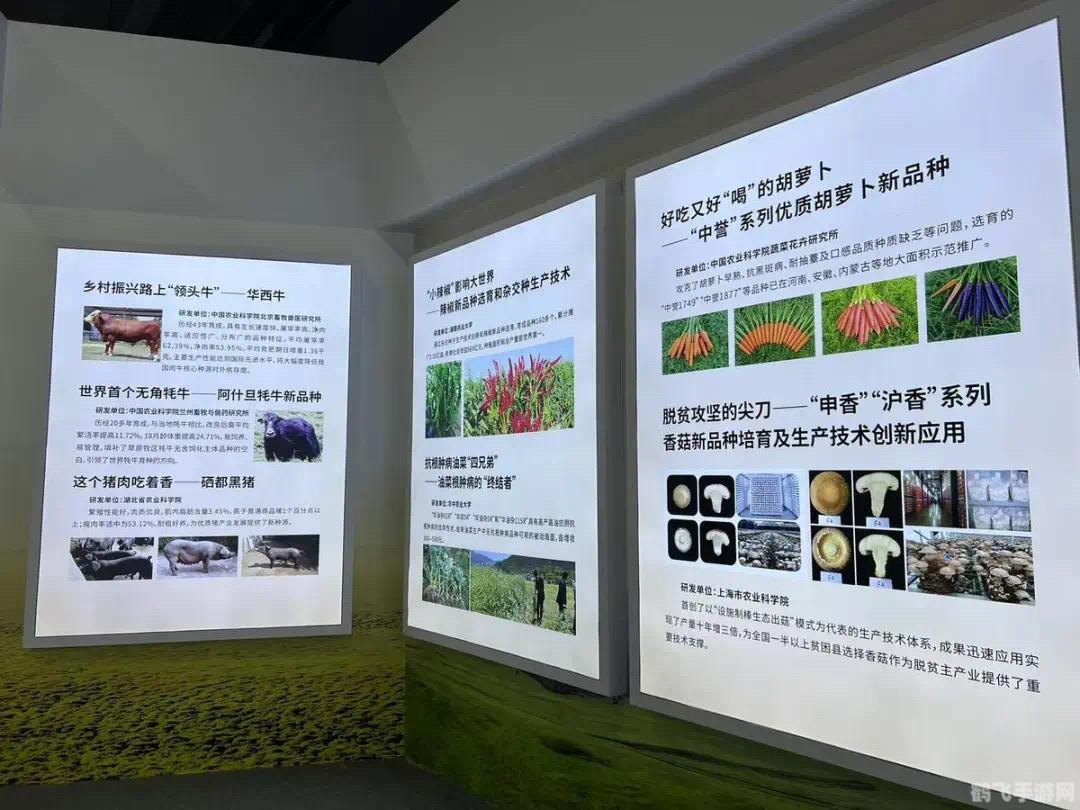 3yx游戏交易平台—— 你的游戏交易首选平台