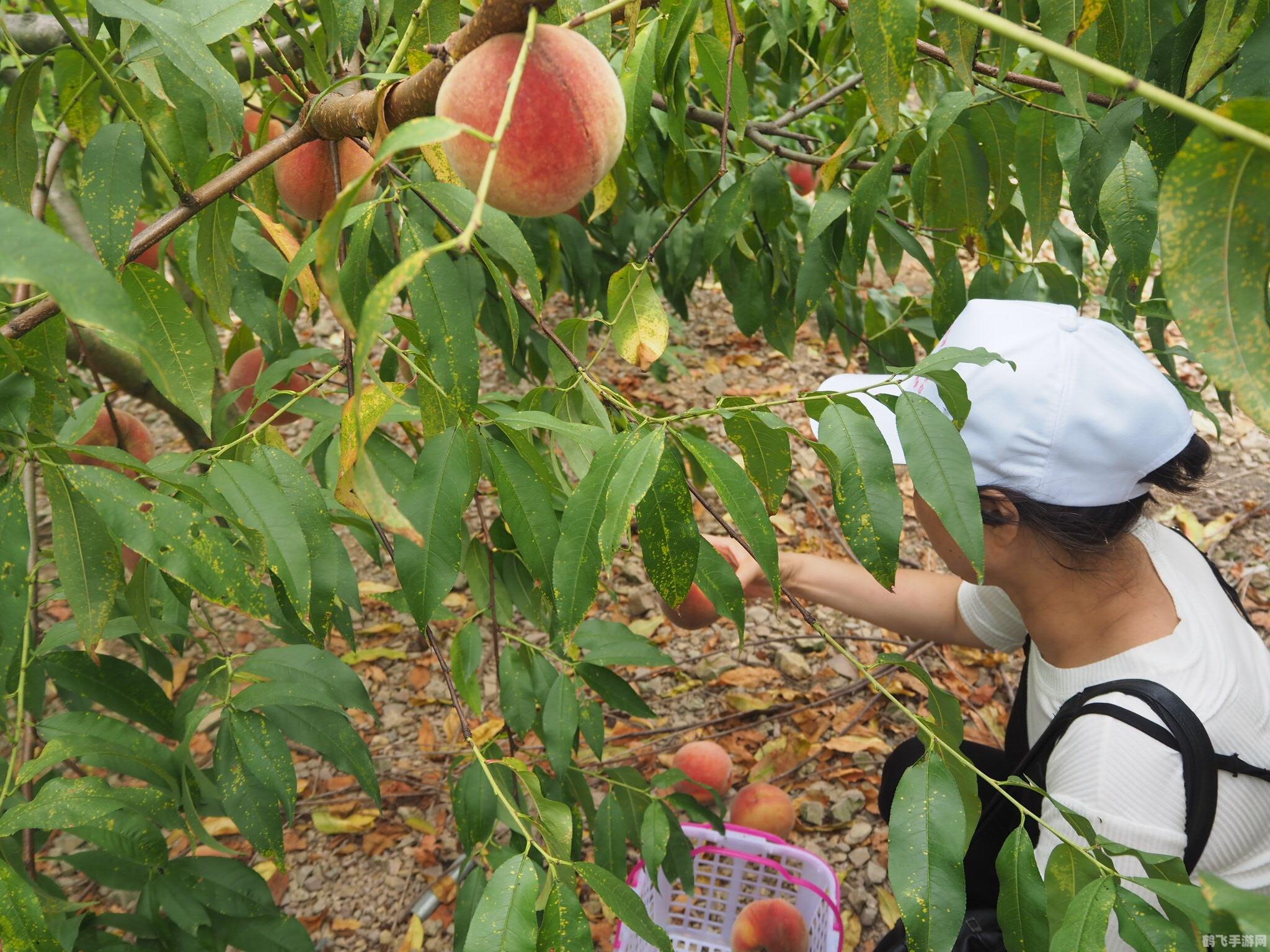好友名片系统全新上线,探索社交新体验!