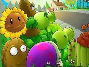 植物僵尸大战,植物僵尸大战