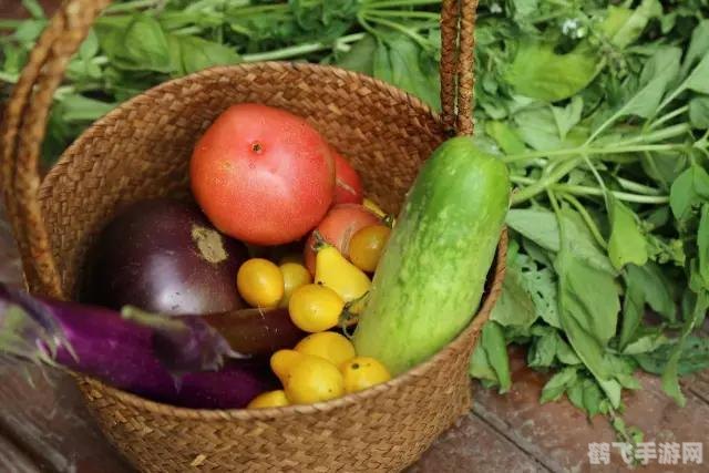 热带水果大冒险,草莓、秋葵、丝瓜与榴莲的奇妙之旅