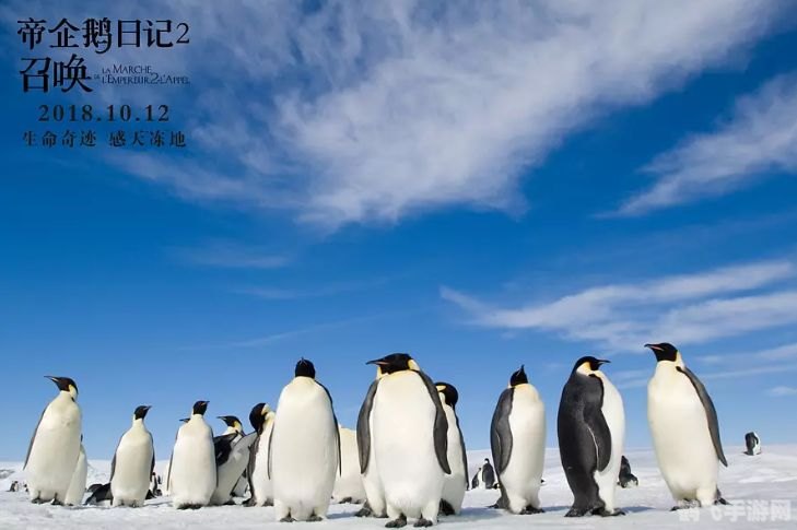 飞翔的企鹅qq,飞翔的企鹅qq