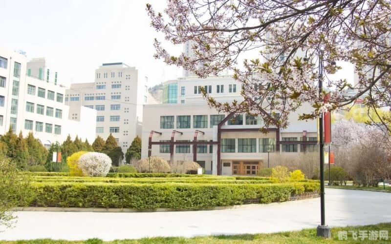 兰州城市学院瓜,兰州城市学院