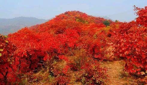 香山