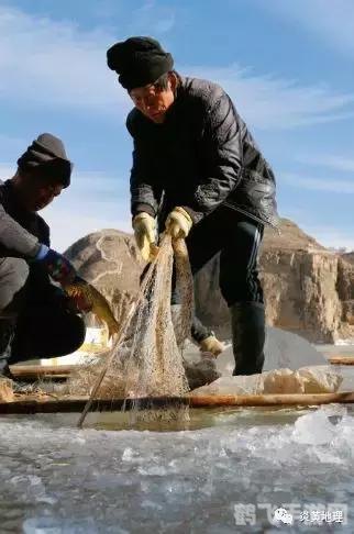 猎奇自行车手游攻略,骑行探险,挑战极限速度!