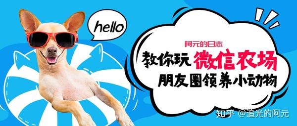 微信养宠物攻略，打造你的专属微信农场