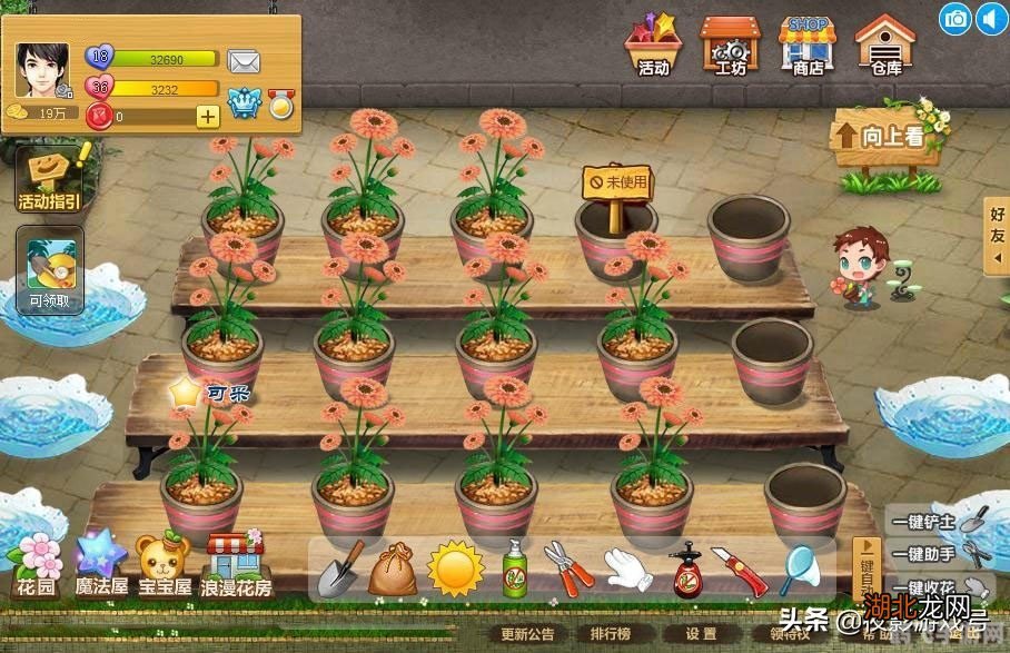 玫瑰小镇登录指南与游戏攻略