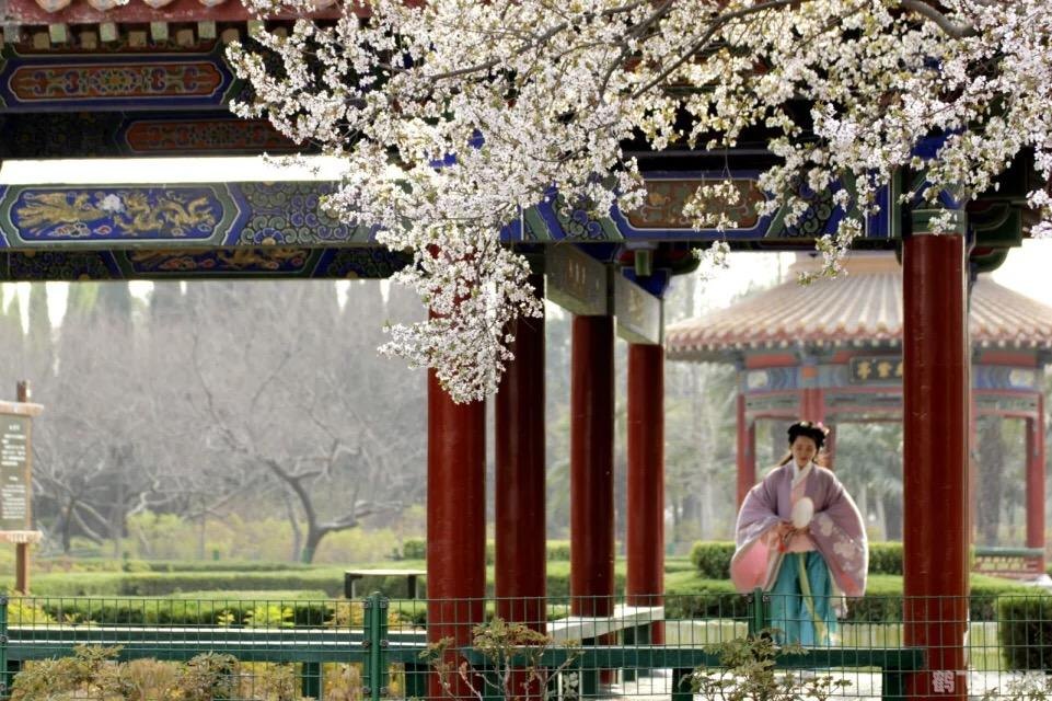 春分前后有一个重要节日是,春分时节的重要节日,花朝节