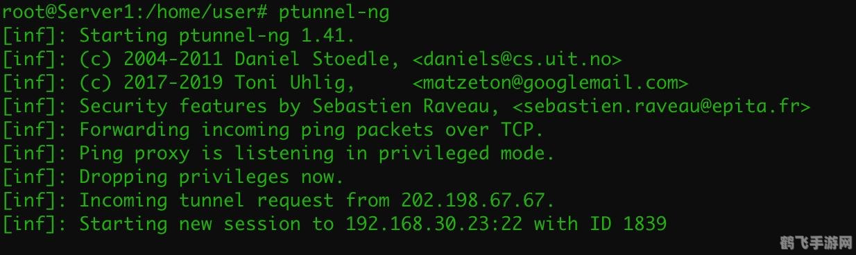 Hacker软件探秘，成为顶尖黑客的游戏攻略