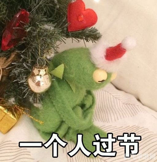 可笑吧我终于一人孤独终老了,孤独终老