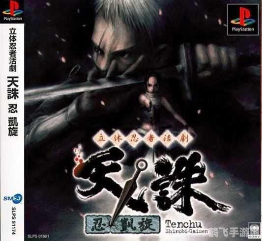 玩转PS2记忆卡，手游攻略与玩法大揭秘