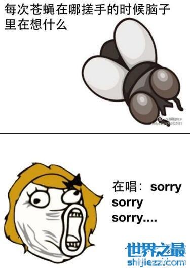 苍蝇的奇特行为启发新游戏玩法——搓手挑战！