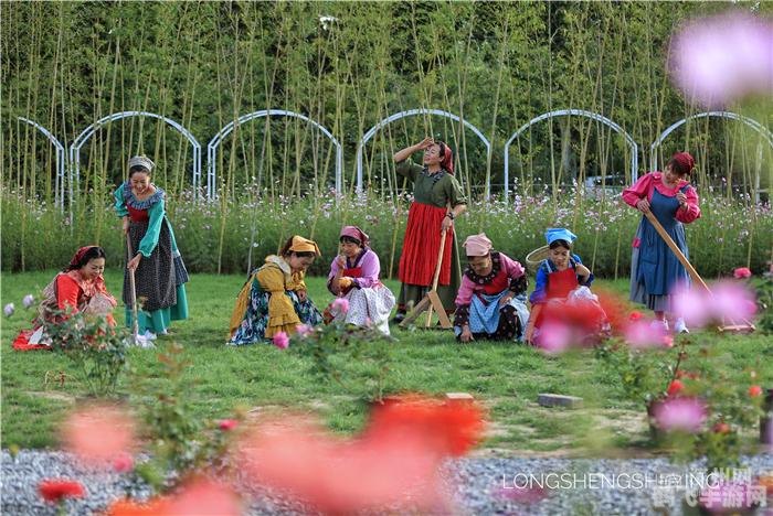 qq农场装扮,QQ农场装扮攻略，打造独一无二的梦幻农场