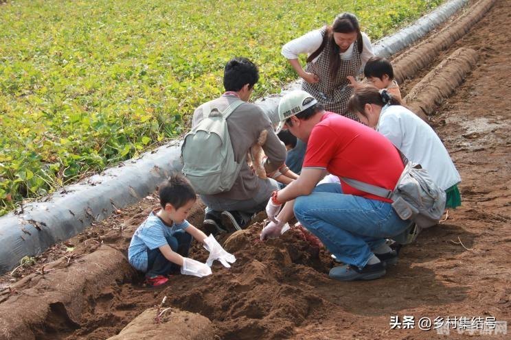 qq农场装扮,QQ农场装扮攻略,打造独一无二的梦幻农场
