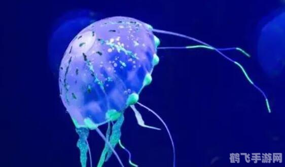 水母有大脑和心脏吗,深海奥秘，探索水母世界，无大脑与心脏的奇妙生物