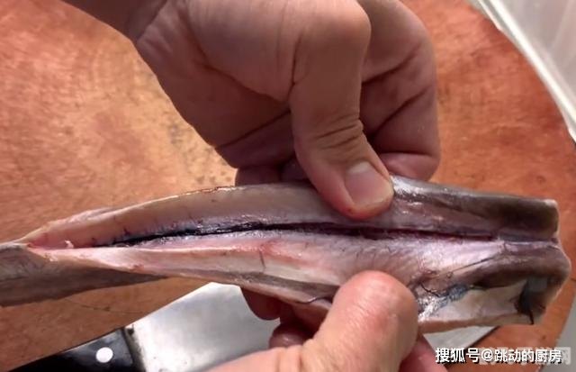 揭秘带鱼鱼皮颜色与营养价值的关系——手游海洋奇遇带鱼捕捉攻略