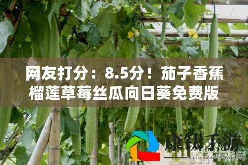 草莓 丝瓜 黄瓜 向日葵 榴莲,奇果乐园手游攻略，如何巧妙种植与收获