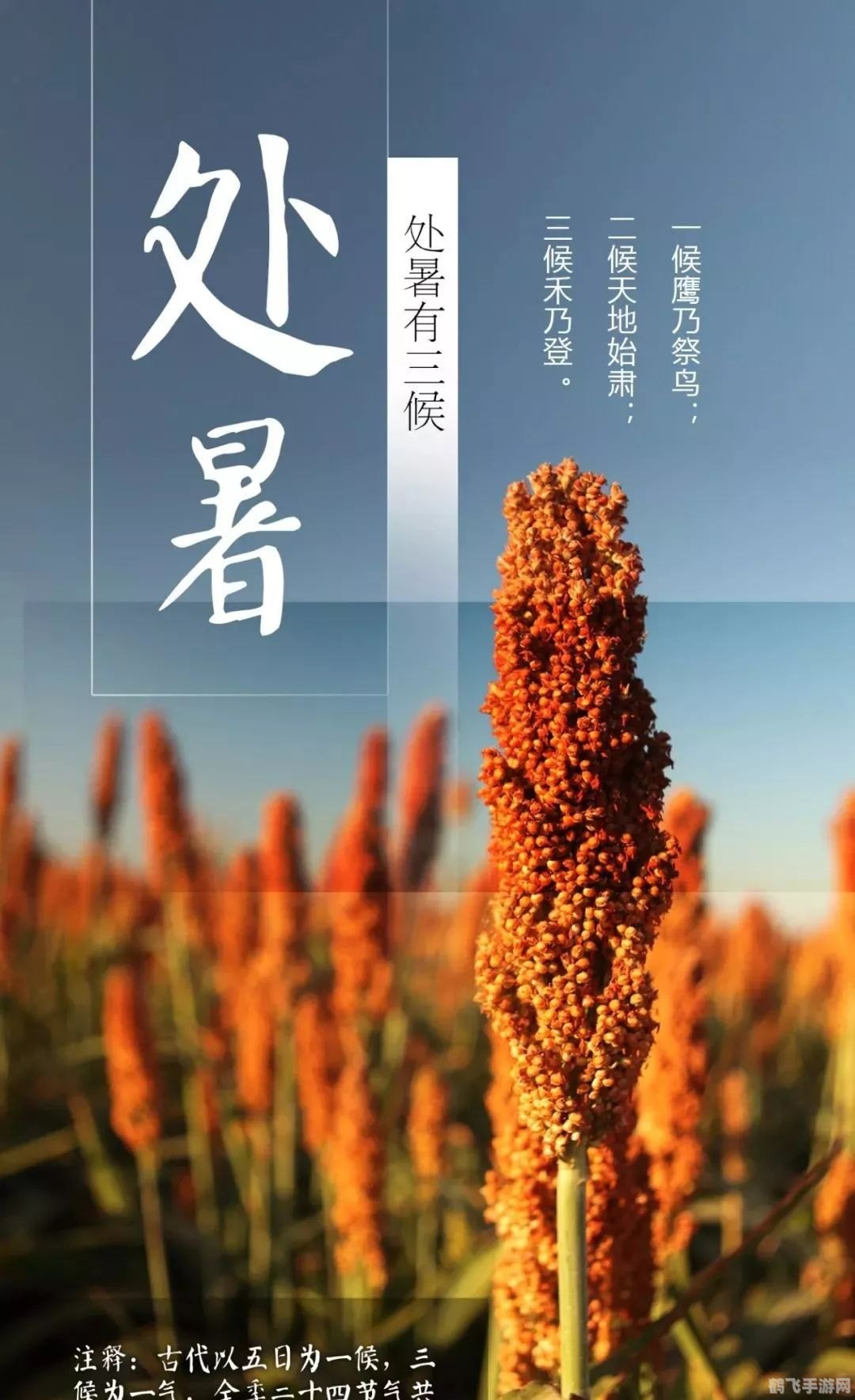 处暑的处是几声,处暑手游盛典，探索节气特色玩法，畅享游戏乐趣！