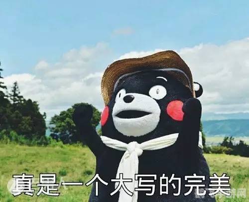 熊出没智力大拼图,熊出没智力大拼图挑战你的逻辑思维与拼图技巧！