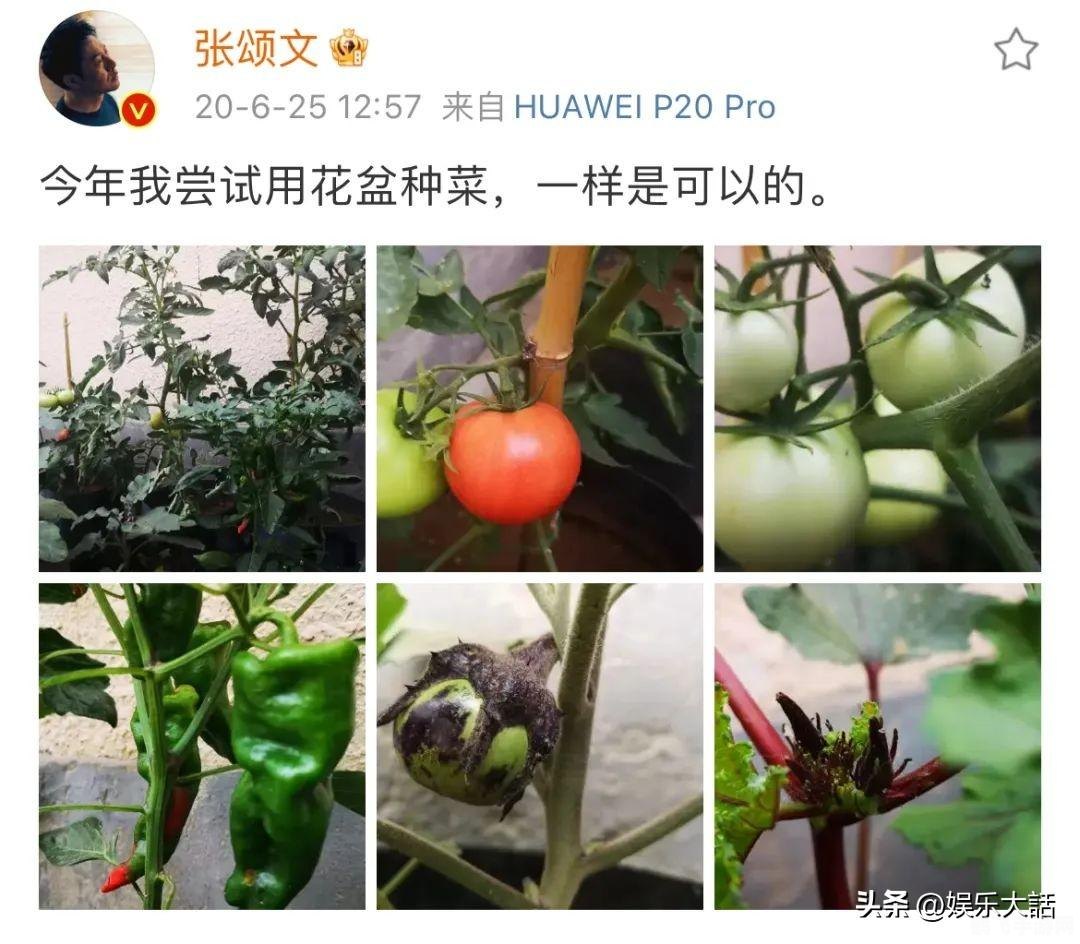 草莓丝瓜榴莲秋葵黄瓜,热门游戏新角色大揭秘，草莓丝瓜榴莲秋葵黄瓜联盟